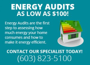 Energy Audits for your Home - Only $100