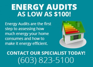 Energy Audits for your Home - Only $100